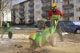Wurzelwerk