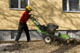 Wurzelwerk