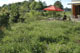 Rasen und Wiese