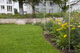 Rasen und Wiese