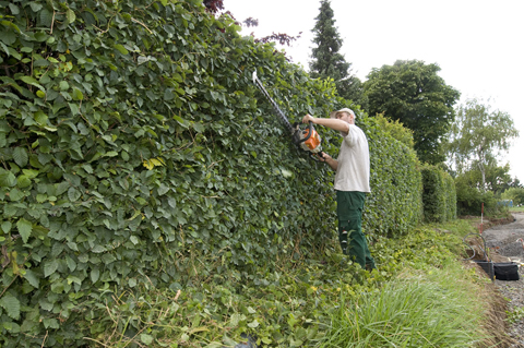 Gartenpflege