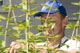 Gartenpflege